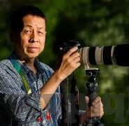 成人b站糖心vlog破解版-深度揭示，成人内容平台与版权保护的灰色地带——以成人B站糖心Vlog为例