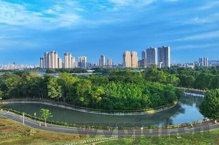 成人伊人大香蕉在线视频最新-成人伊人大香蕉在线视频最新，网络时代的文化边界与个人选择