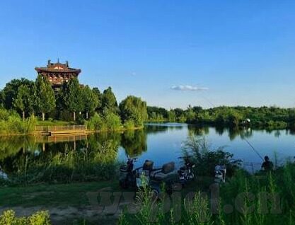丁香婷婷在线中文字幕综合-丁香婷婷，在线中文字幕的魅力之旅