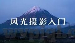 国产麻豆综合视频-国产麻豆视频平台的多样性体验与文化特色