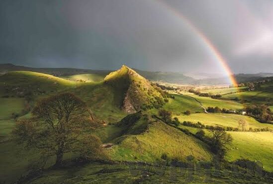 麻豆91av-麻豆91av，网络文化的双刃剑与边界探讨