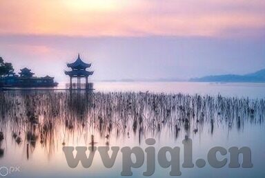 麻豆传媒干嘛的-麻豆传媒，一个新媒体平台如何融合创意与文化