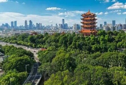 麻豆传媒sp-探讨现代网络文化中的娱乐与信息交汇——以麻豆传媒SP现象为例