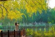 麻豆传媒直播官网-麻豆传媒直播官网——多元化的直播体验新舞台