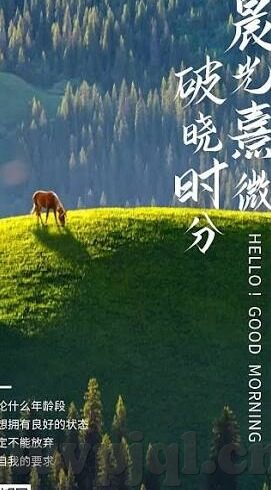 日韩国产综合av-探索日韩文化中的独特魅力，国产综合AV的多元视角
