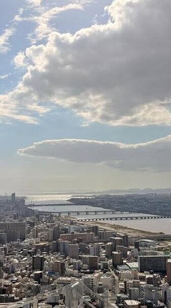 糖心app黄台-网络之舞，迷雾中的警醒