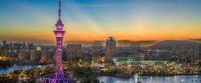 糖心app免费下载-体验甜蜜新纪元，探索糖心APP的免费下载之旅