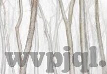糖心app网址-探寻网络安全与社交新生态，对糖心App的理性思考
