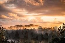 映画网ady中文字幕-映画网ady，中文字幕下的电影艺术之旅